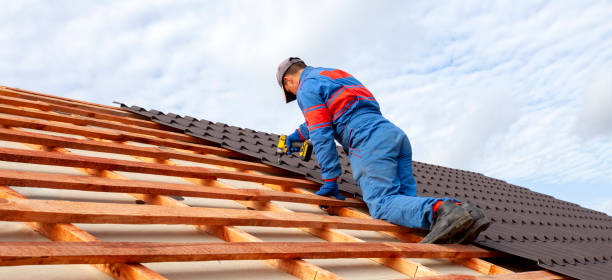 Best Roof Leak Repair  in Eleanor, WV