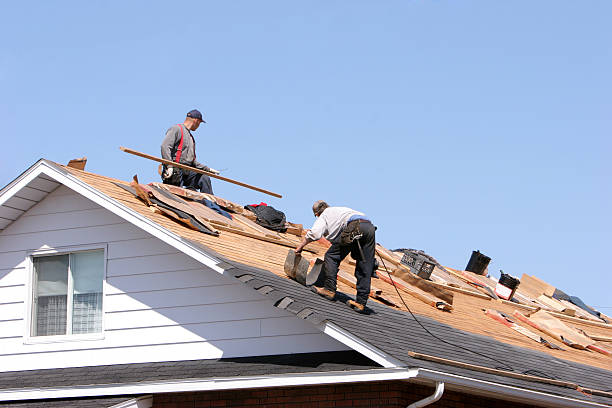 Best Skylight Installation and Repair  in Eleanor, WV